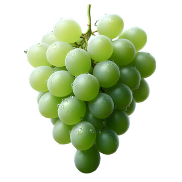 recommend clip art: bunch of grapes