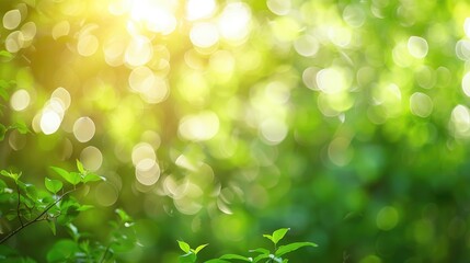 Fototapeta premium Blurred green background with sunlight