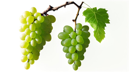 Grape with green leaves
