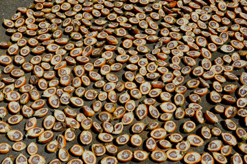 Full frame shot of ripe betel nut or Areca nut sliced in the sun drying