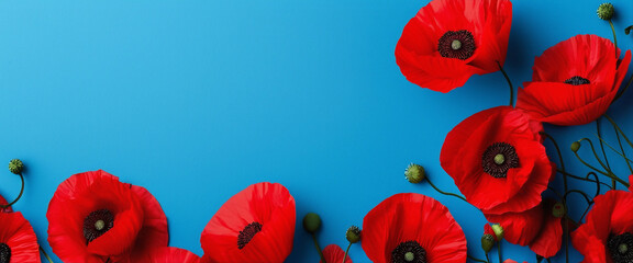 Detailed Red Poppy Flowers Adorning a Blue Background, Symbolizing Remembrance, Memorial, and Anzac Day.
