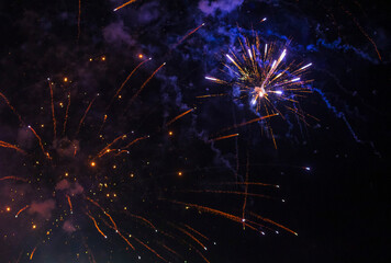 Shot of the fireworks in the night sky. Celebrations