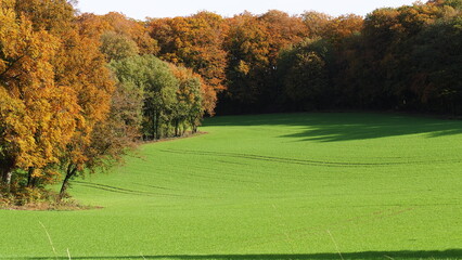 Paysage d’automne 