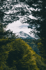 Beautiful snowy peak on the snowy mountains captured trough the branches of a dark beech forest.