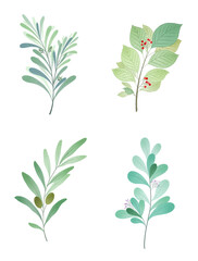 set of green leaves