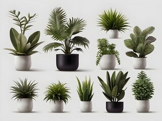 plants in pots With isolated White Background Generative Ai