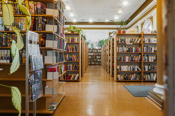 bookshelf, literature, education, reading room, library interior,