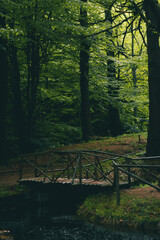 Lovely scenery with small wooden bridge over a small lake in a moody beech forest with soft sunlight coming trough the trees.