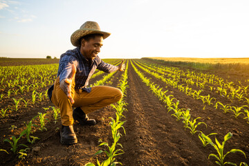 Portrait of african farmer in his growing corn field. He is satisfied with progress of plants.