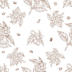 Vector seamless pattern with coffee plants and coffee beans. Seamless design. Coffee brown great ornament
