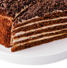 Chocolate layer cake slice on white plate