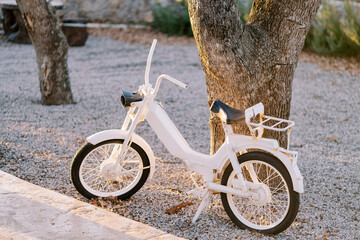 White vintage motorized bicycle stands near a tree in the garden