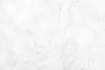 Seamless White and Gray Marble Texture with Veins and Curly Patterns