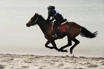 ein braunes Pferd mit Reiterin im Galopp am Strand