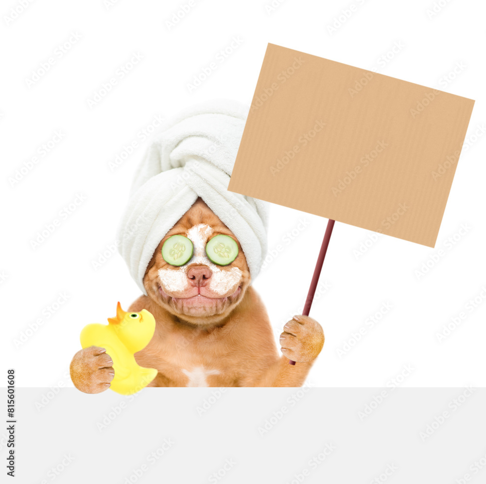Poster mastiff puppy with towel on it head, with pieces of cucumber on it eyes and with cream on it face ho