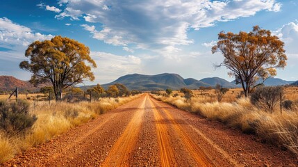 Fototapeta premium The photo shows a long and winding road stretching through a vast, arid landscape. The road is flanked by two large trees.
