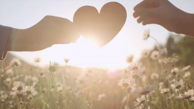 Close up of mother and child daughter hands holding small red paper heart near flowers on background beautiful sunset or sunrise at warm summer day. Concept of symbol love, parenthood and happy family