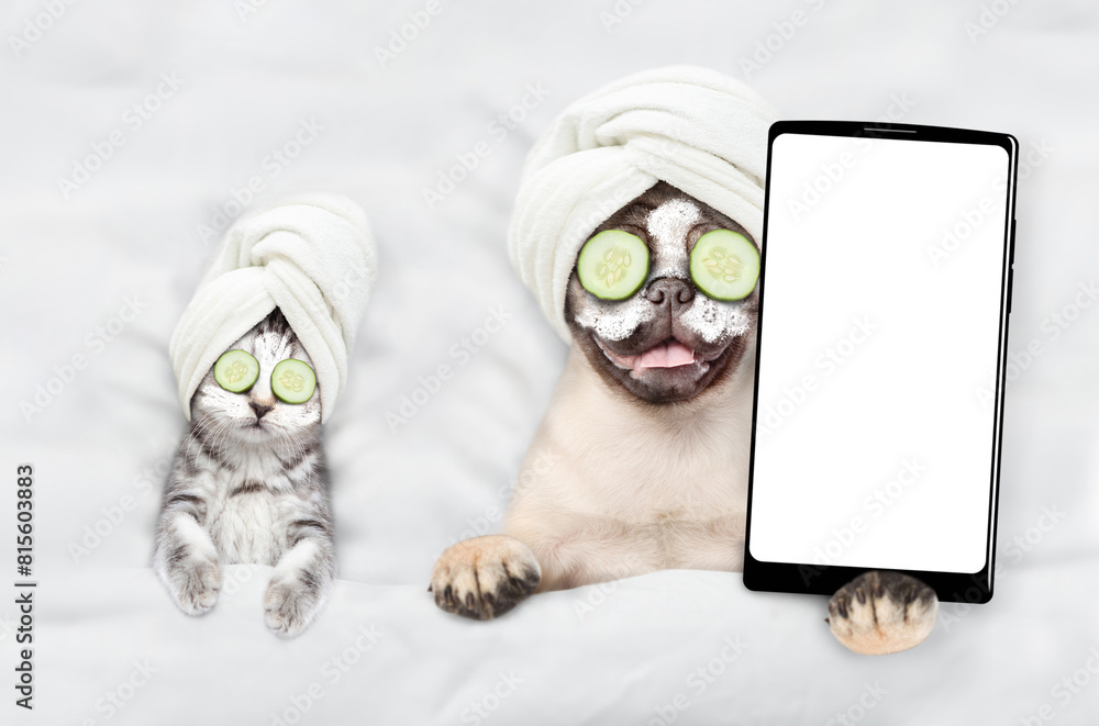 Aufkleber funny kitten and pug puppy with towel on their heads, with cream on their faces and with a pieces of