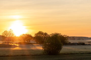 Marsta, Sweden Sunrise over agricultural fields and mist.