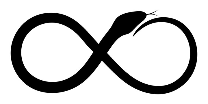 recommend clip art: Black silhouette of a curved snake in the form of an infinity sign, isolated on a transparent background. Symbol of Chinese New Year 2025. Vector illustration