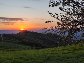 natura © Rik De Santis