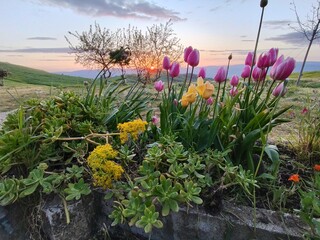 natura © Rik De Santis