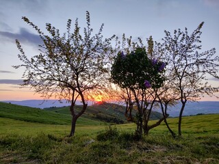 natura © Rik De Santis