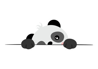 Adorable panda peeking out from behind © soniagoncalves