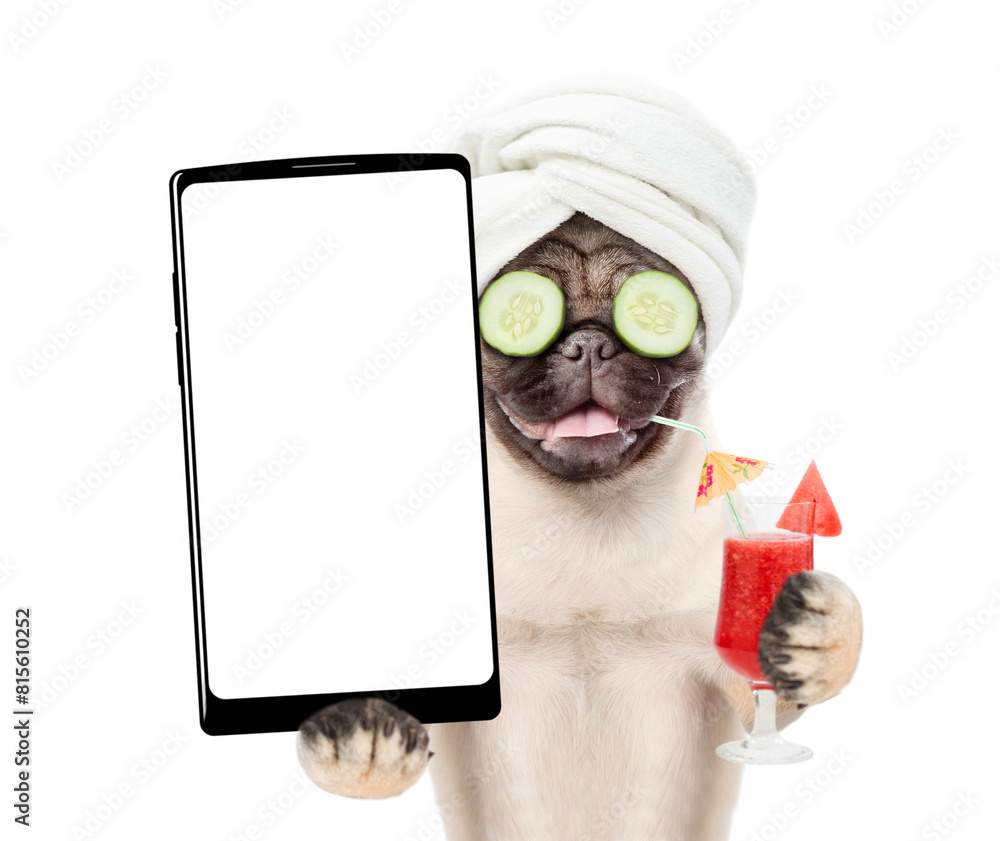 Aufkleber funny pug puppy with towel on it head, with pieces of cucumber on it eyes holds big smartphone with 