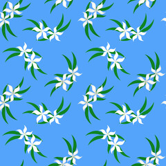 Seamless pattern White flowers. White, blue and green colors