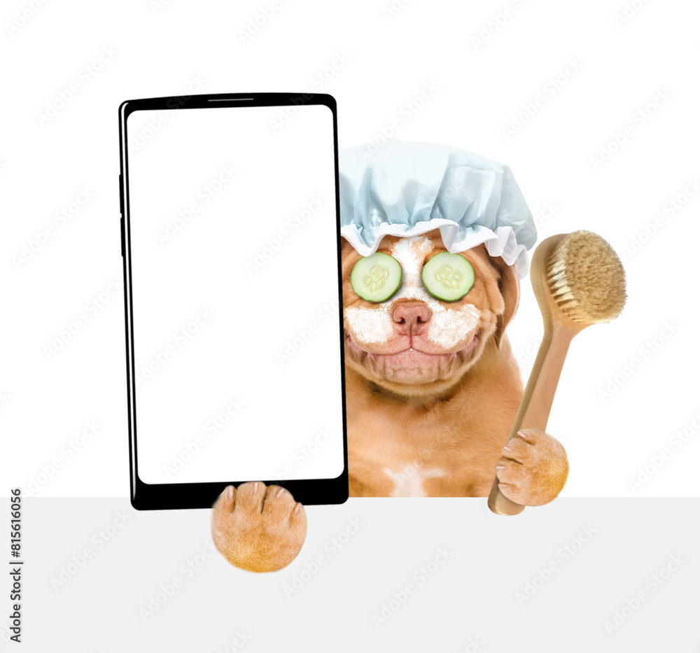 Aufkleber Mastiff puppy with shower cap on it head with pieces of cucumber on it eyes and with cream on it face holds smartphone with white blank screen in it paw above empty white banner. isolated on white