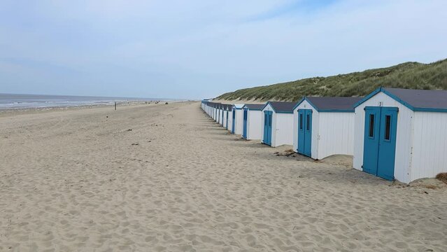 Texel Little white blue houses in the dunes in Holland on the island of Texel in the Netherlands, De Koog beach with sand dunes