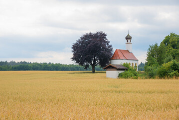chapel beside grain field, grey clouds