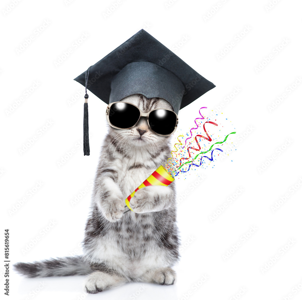 Poster graduated cat stands on hind legs and explodes the firecracker. isolated on white background