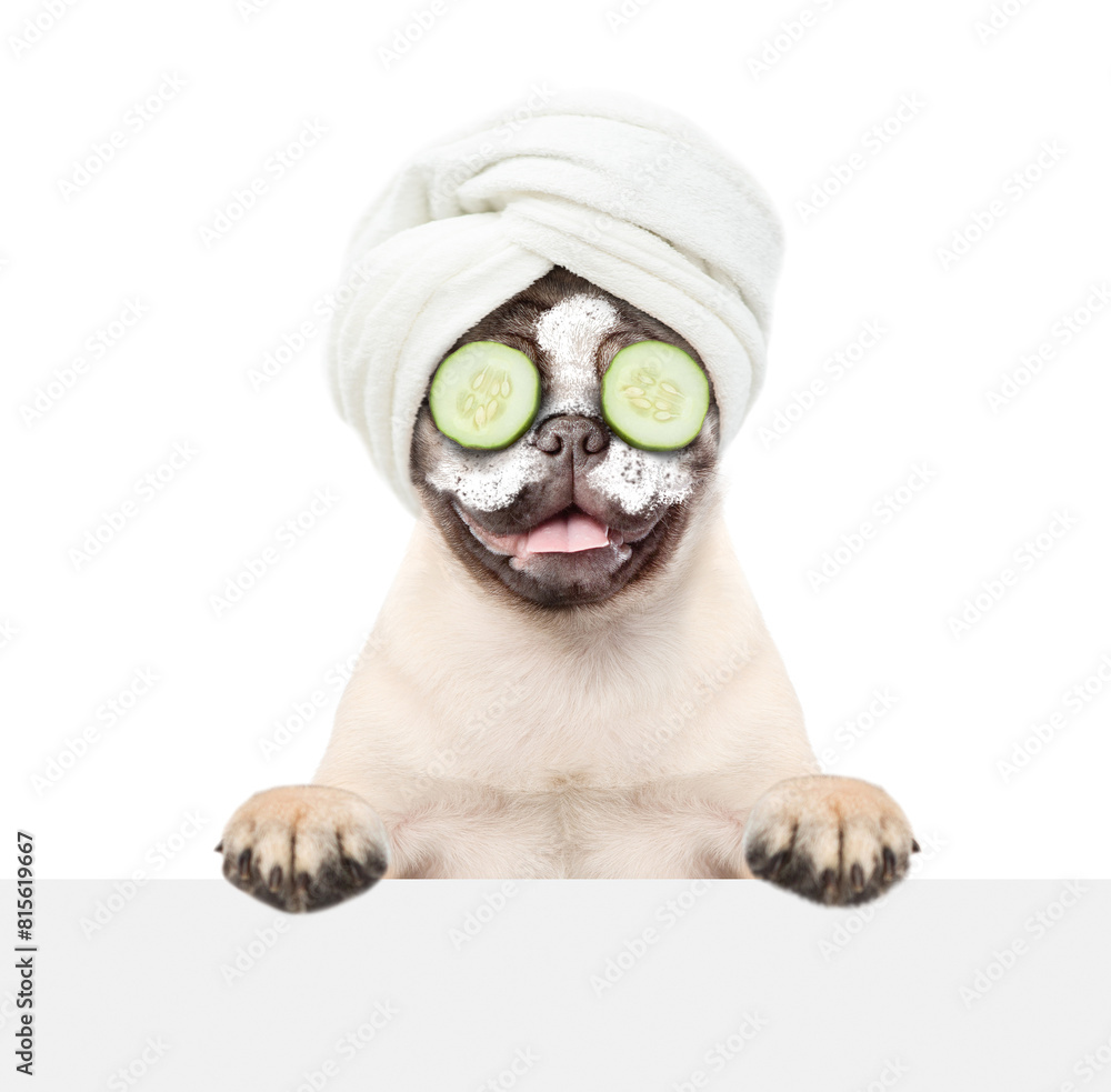 Fototapete funny pug puppy with towel on it head, with pieces of cucumber on it eyes and with cream on it face 