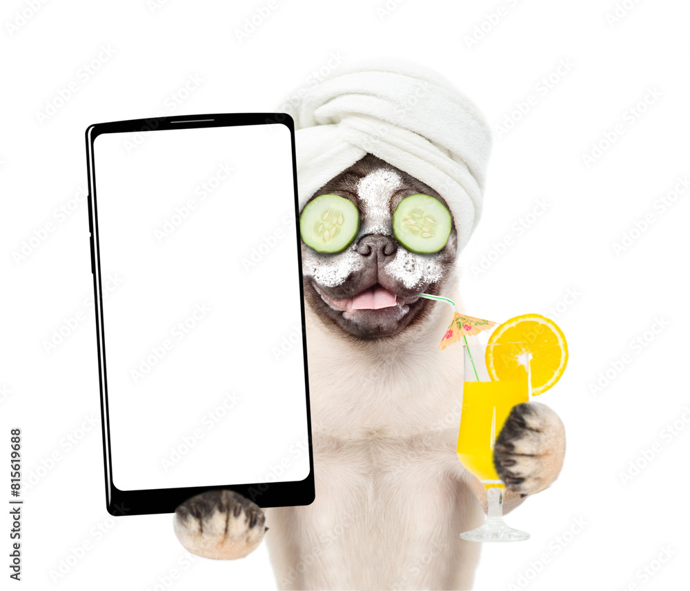Aufkleber Funny Pug puppy with towel on it head, with pieces of cucumber on it eyes and with cream on it face holds  big smartphone with white blank screen in it paw. isolated on white background