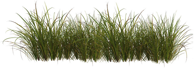 Cutout meadow grass  field on transparent background