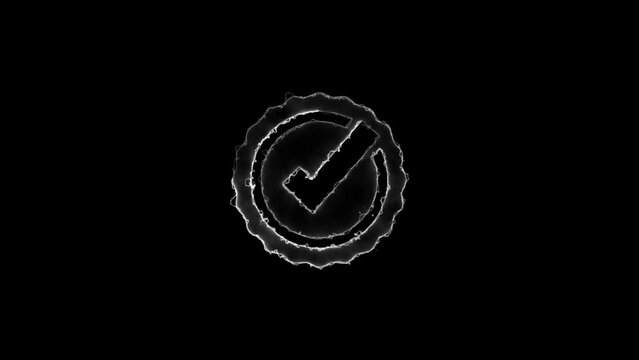 check mark animation and double check icon. Yes tick. Correct check mark symbol.
