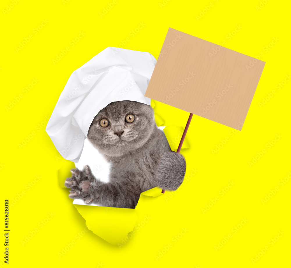 Poster cat wearing chef's hat looking through the hole in yellow paper showing empty placard. isolated on w