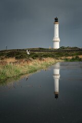 a white lighthouse sits on top of a hill with a bird flying in the water
