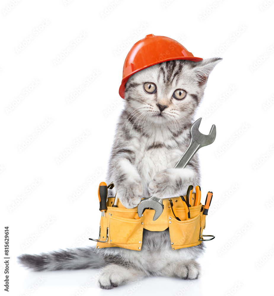 Poster funny cat worker wearing hardhat and toolbelt standing on hind legs and holds tiny wrench. isolated 