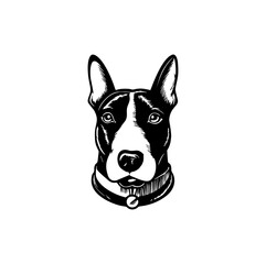 dog head breed bull Terrier sketch vector graphics monochrome