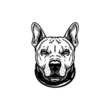 recommend clip art: dog head breed bull Terrier sketch vector graphics monochrome