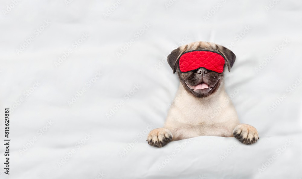 Poster cute pug puppy wearing sleeping mask sleeps on a bed at home. top down view. empty space for text