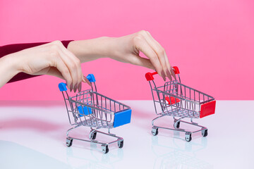 One Female Hand Holding Mockup Small Tiny Shopping Carts Trolley Separately With Both Hands Over Pink Rose