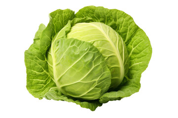 Fototapeta premium Fresh Green Cabbage on transparent Background