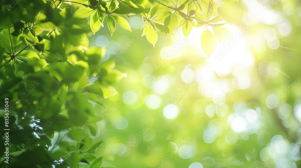 Poster blurry background of green spring trees with sunlight filtering through