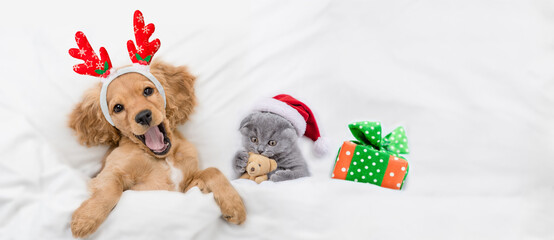 Yawning English Cocker spaniel puppy dressed like santa claus reindeer  Rudolf lying with cozy...