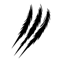 Wild animal claws scratch