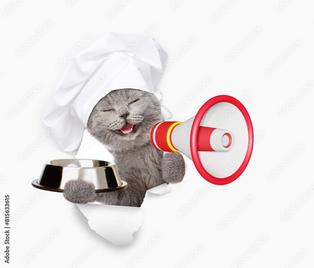 Aufkleber happy cat wearing chefs hat looking through the hole in white paper meowing into the megaphone and s